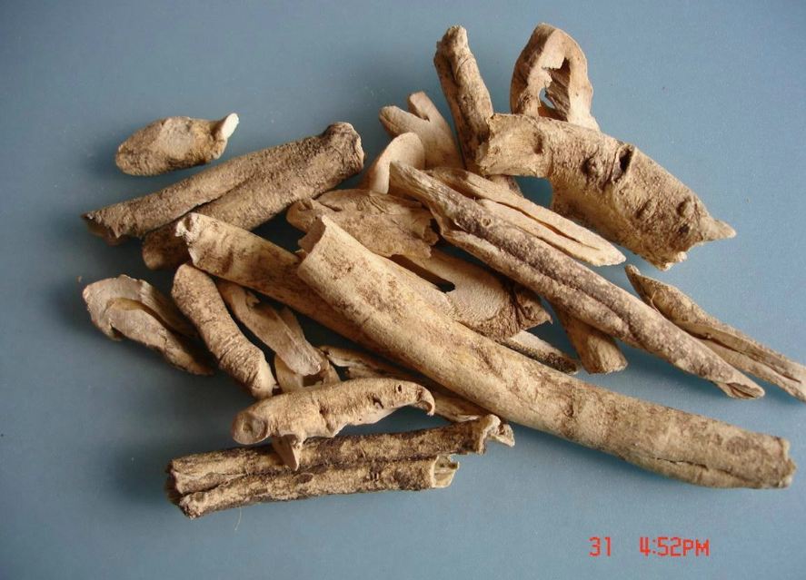 「精而简医考网-精考点」中药二 南北五加皮 王奇君老师